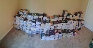 A fraction of this year's book donations.